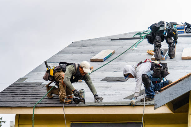 Professional Roofing technician working in Westville, OH
